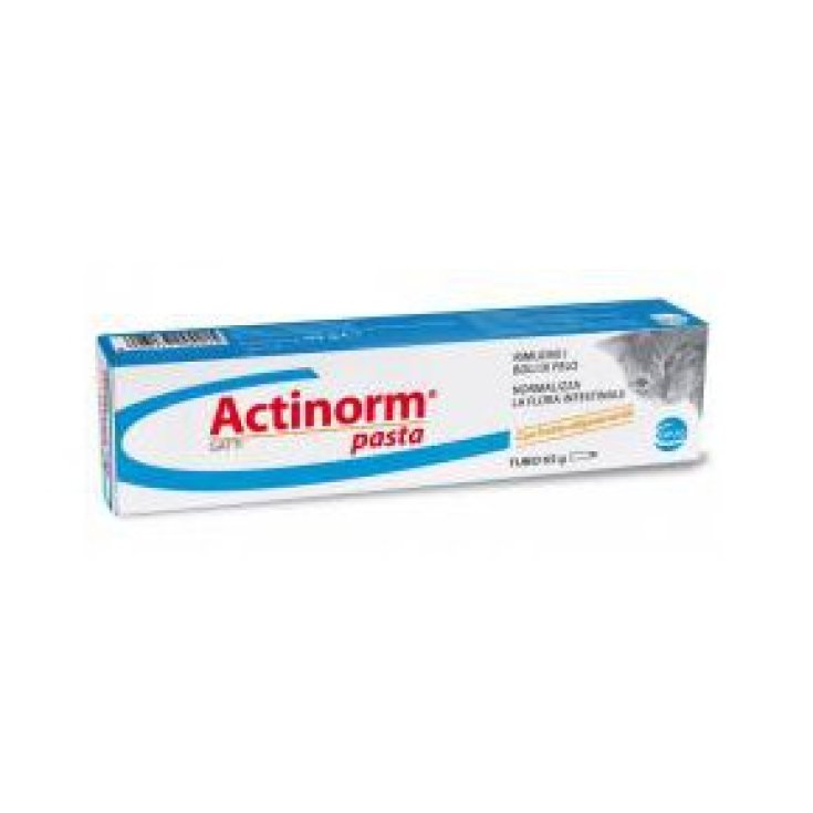 Actinorm Pasta Gatti - 65GR