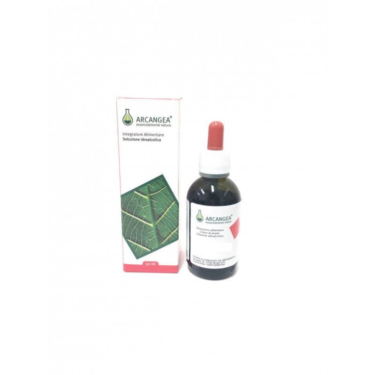 Bergamotto BIO Arcangea&reg; 5ml