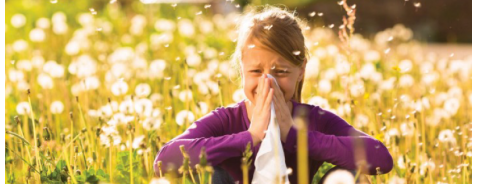 Prepararsi alle allergie primaverili Prepararsi alle allergie primaverili