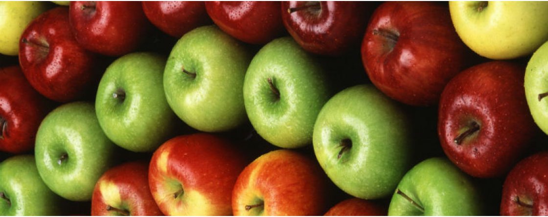 Frutta e verdure di novembre