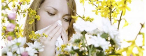 Combattere le allergie invernali Combattere le allergie invernali