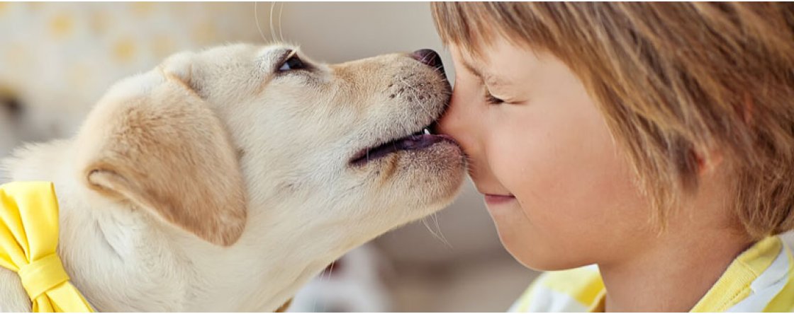 Baci ed effusioni canine: ecco perchè evitarle!