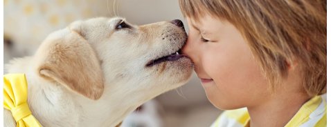 Baci ed effusioni canine: ecco perchè evitarle! Baci ed effusioni canine: ecco perchè evitarle!