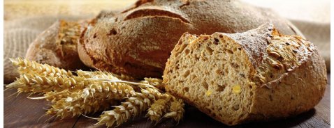 I cereali integrali: gli alleati della nostra salute I cereali integrali: gli alleati della nostra salute