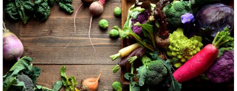 Alimentazione in inverno Alimentazione in inverno