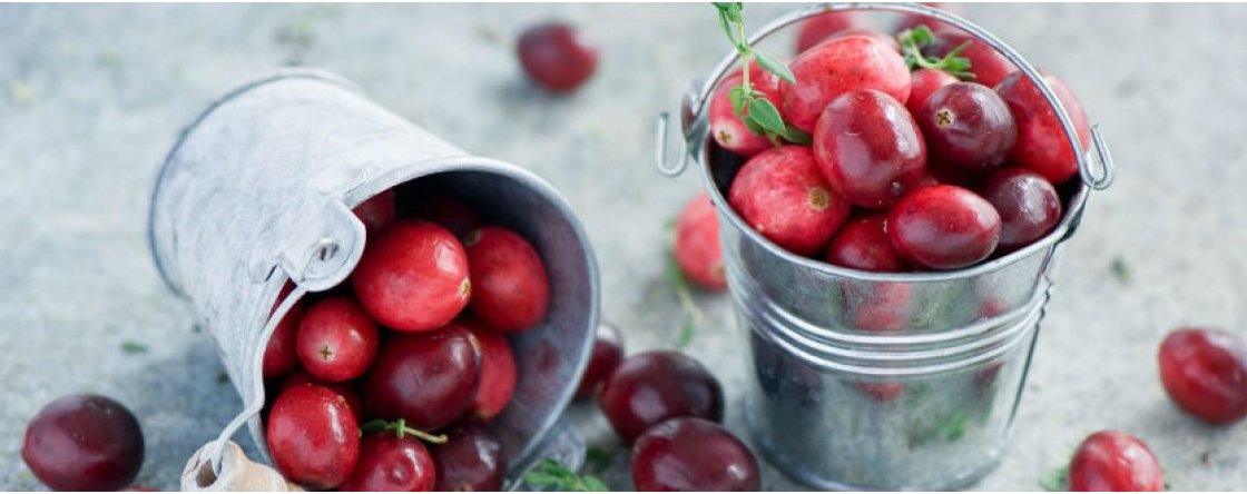Il mirtillo rosso è davvero utile per combattere la cistite?