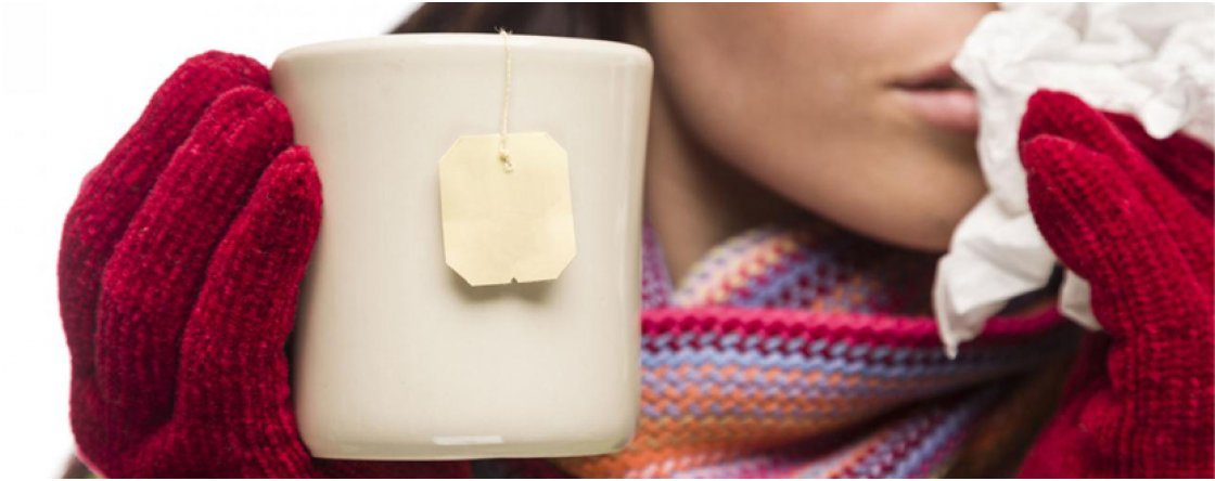 Le 5 migliori tisane per curare raffreddore e influenza!