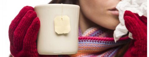 Le 5 migliori tisane per curare raffreddore e influenza!