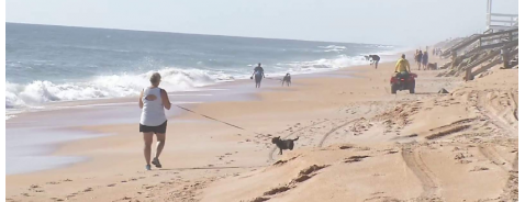 Spiaggia e Covid19, cosa dice la legge e la medicina ad oggi? Spiaggia e Covid19, cosa dice la legge e la medicina ad oggi?