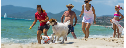Le regole per portare il tuo cane in spiaggia