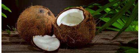 Il Cocco, proprietà benefiche e rinfrescanti