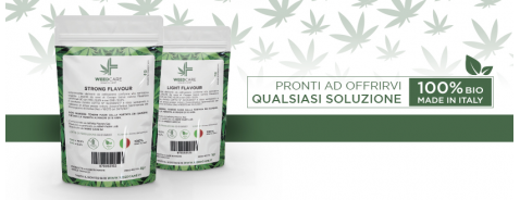 Marijuana legale, quali benefici porta? Marijuana legale, quali benefici porta?