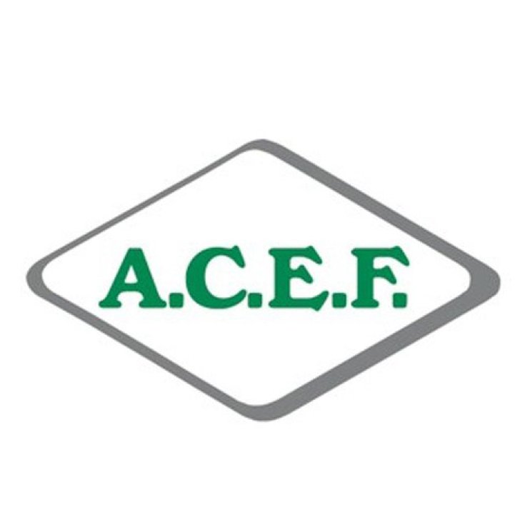 Magnesio Cloruro ACEF 1Kg