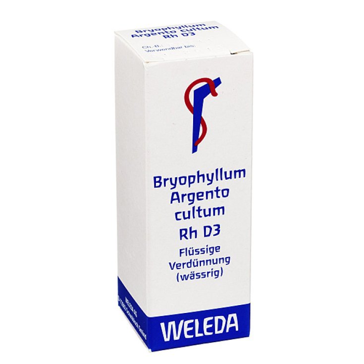 Bryophyllum Argento Cultum Rh D3 Weleda 20ml