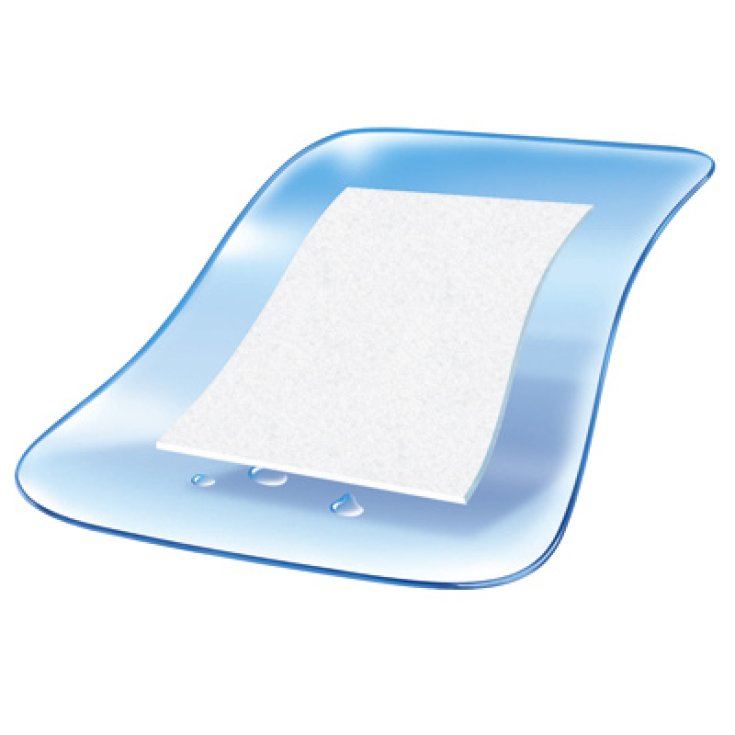 Cerotto Impermeabile Dr.Hop 12 Cerotti 25x72mm