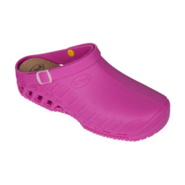 Clog Evo Unisex Scholl Fuchsia Taglia 36-37