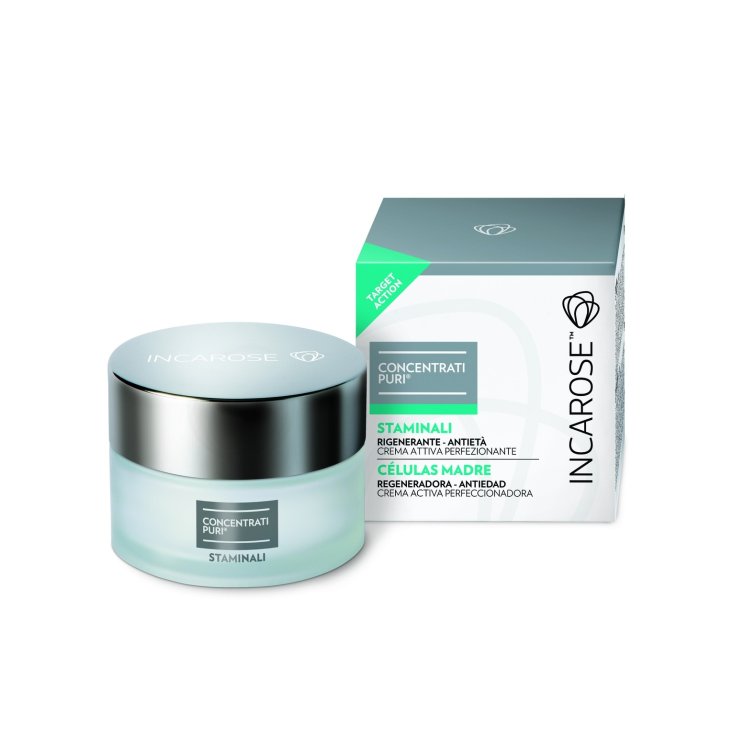 Concentrati Puri Staminali Incarose 50ml
