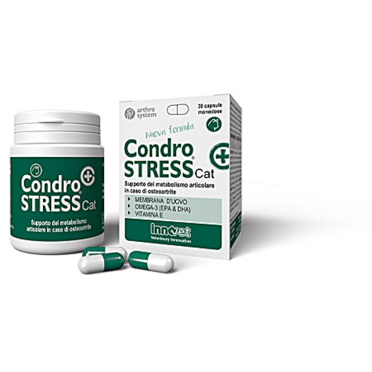 Condrostress (+) Cat - Nuova Formula - Compresse
