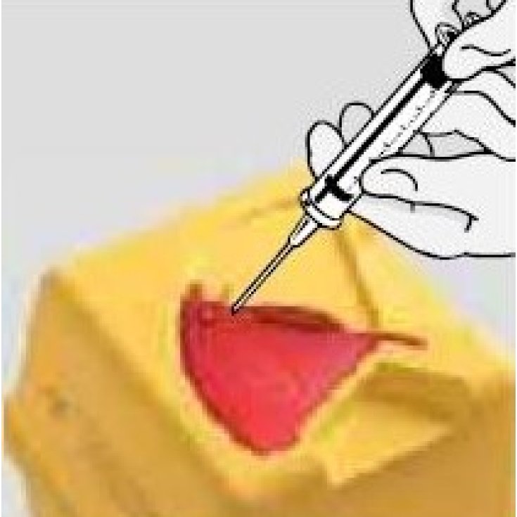 Contenitore P.B. Pharma 1 Pezzo