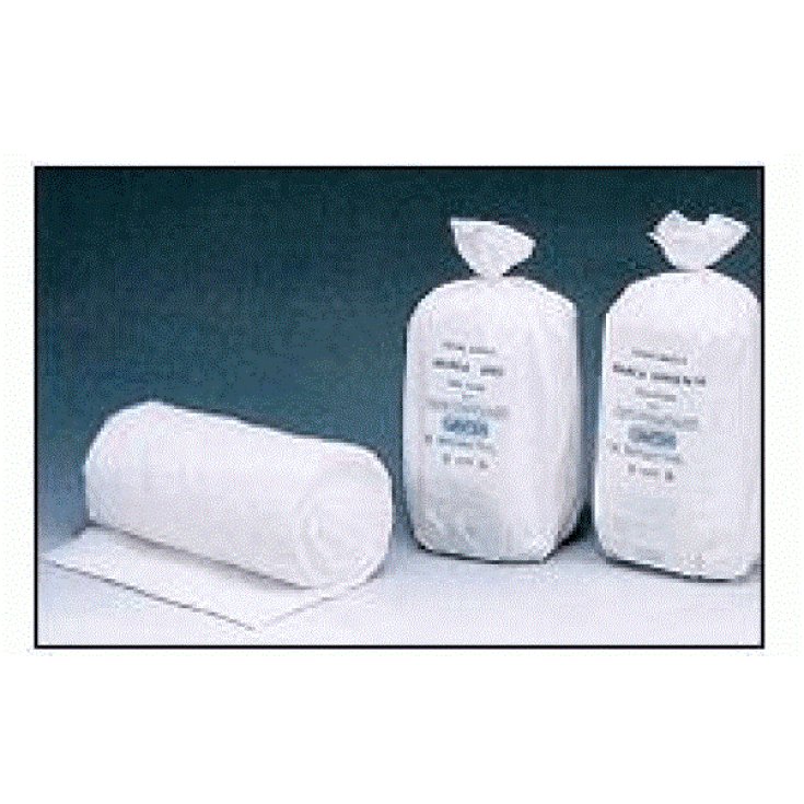Cotone Argento Santex 1Kg