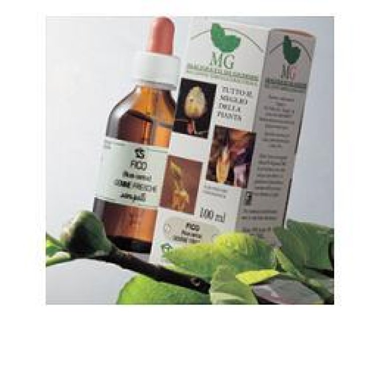 Fico Macerato Glicerico 100ml
