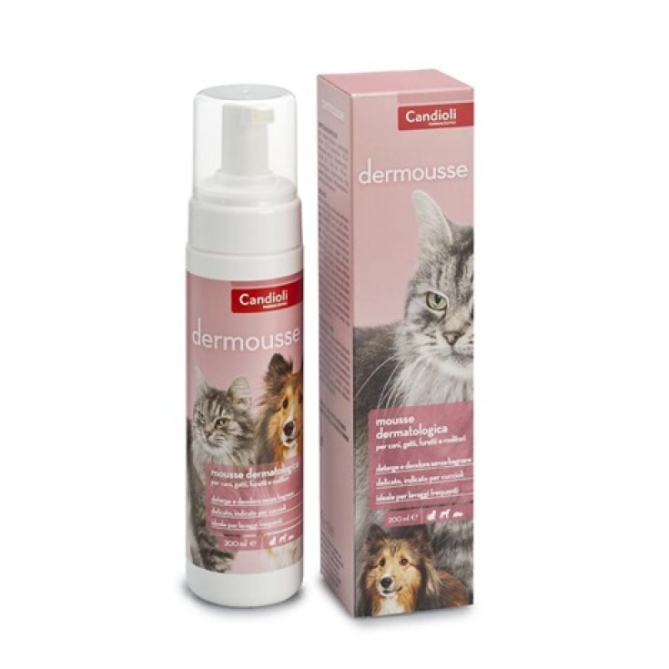 Dermousse - mousse detergente e deodorante - 200ML