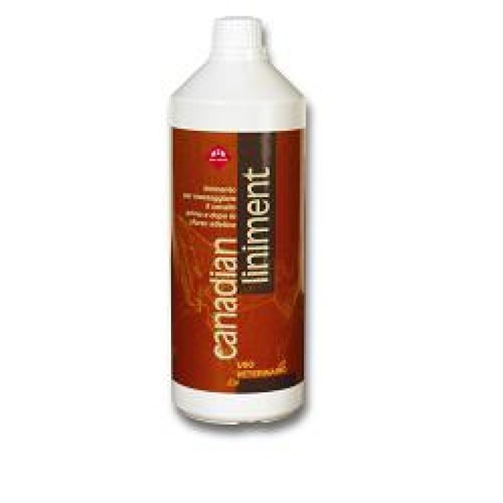 CANADIAN LINIMENT FL 1000ML