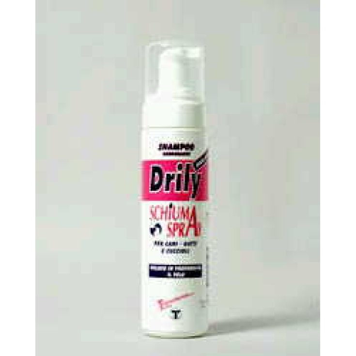 Drily Sh Spr 200ml