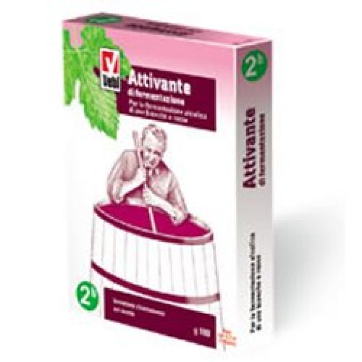 Attivante Di Fermentazione 100g
