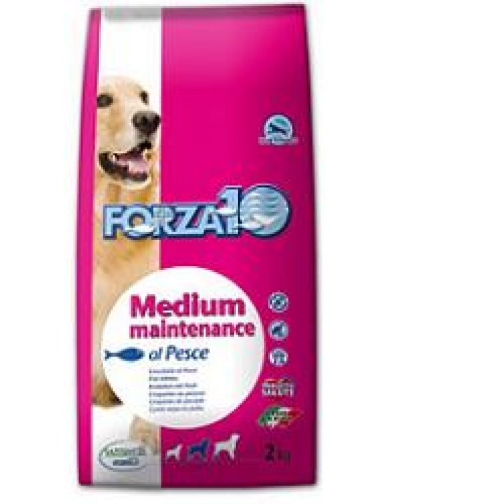 Maintenance Medium Adult con Pesce - 2KG
