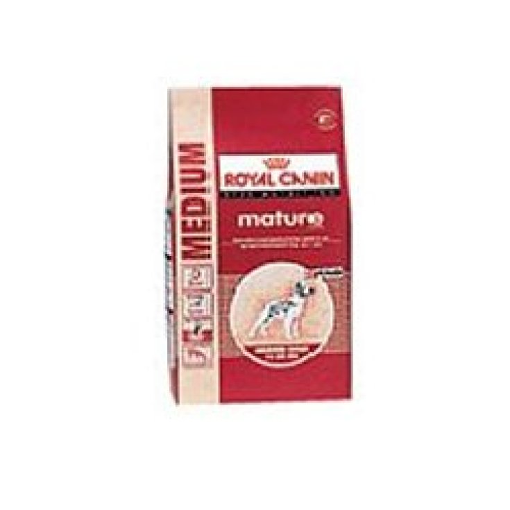 Medium Adult 7+ - 4KG
