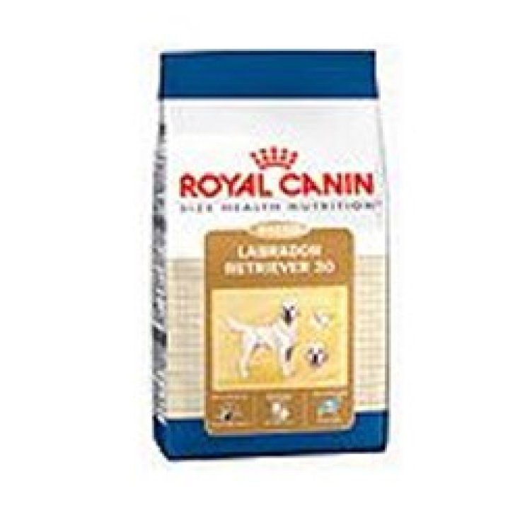 Labrador Retriever Adult - 12KG