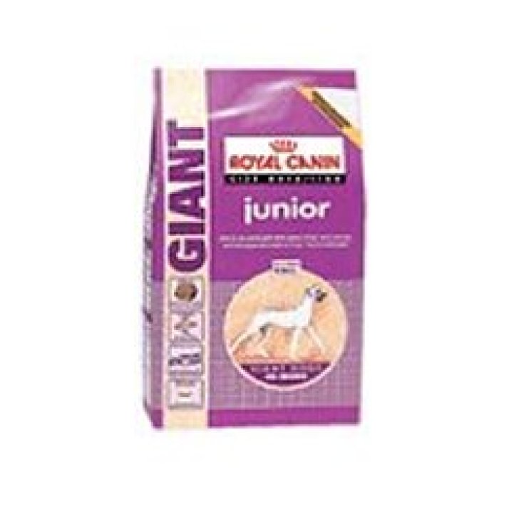 Giant Junior - 15KG
