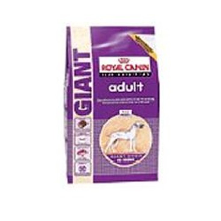 Giant Adult - 15KG