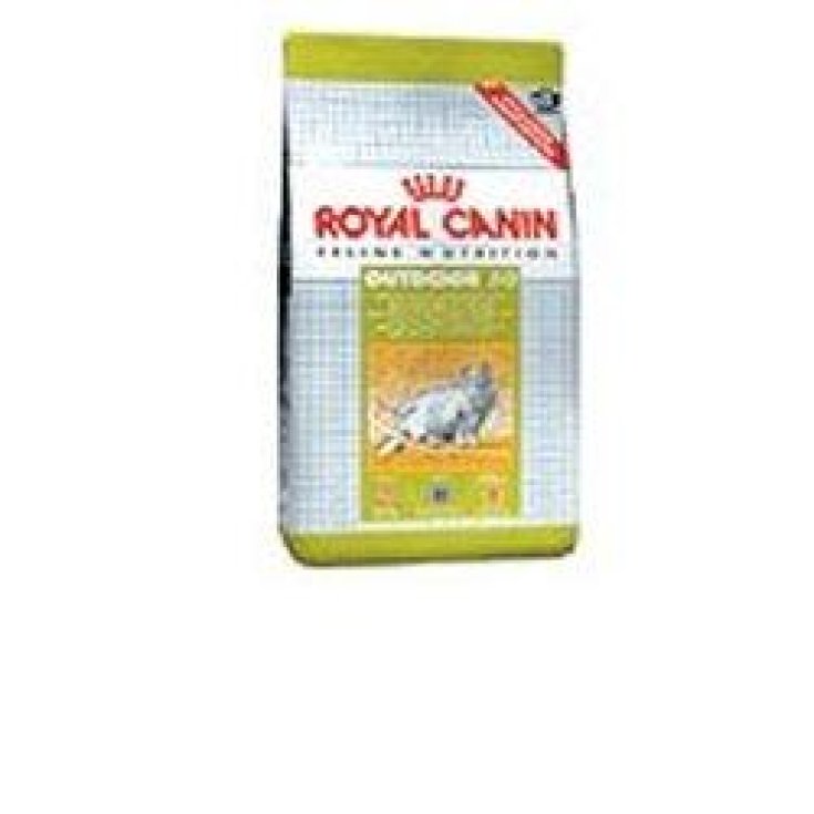 Outdoor - 2KG