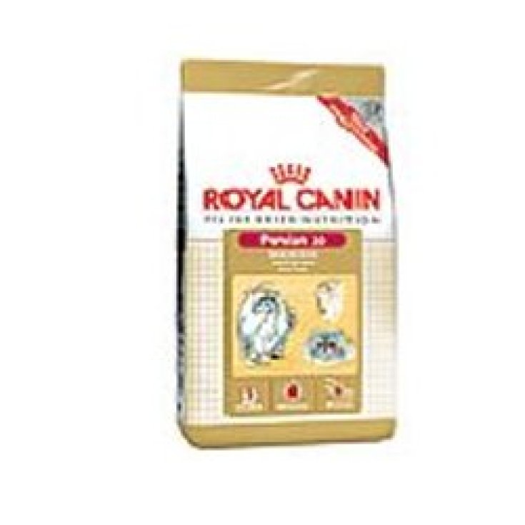 Persian 30 - 10KG