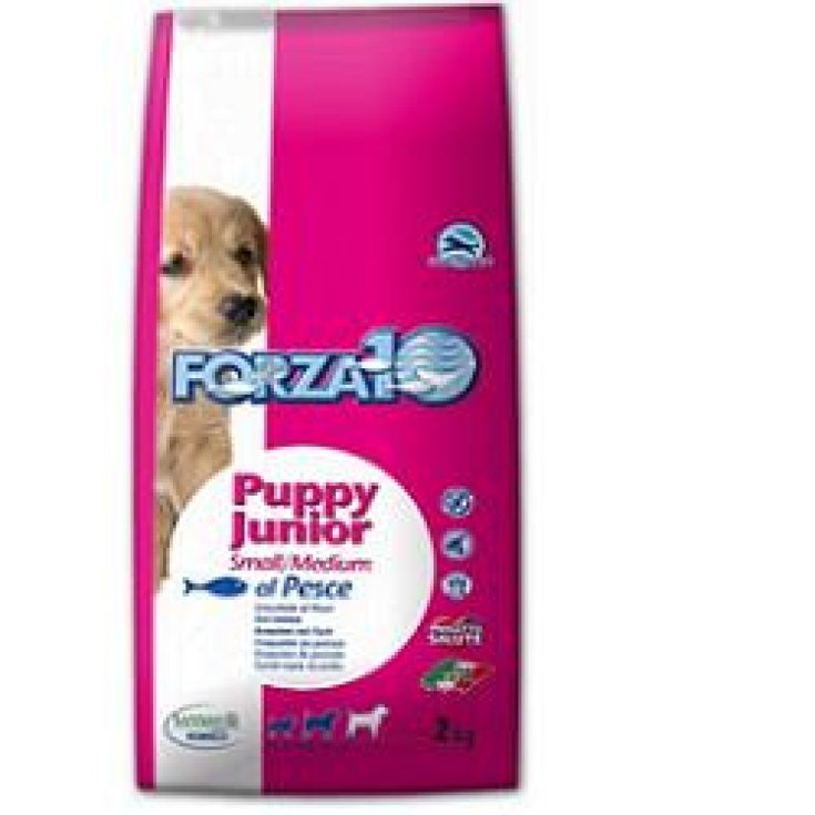 Maintenance Puppy & Junior Small_Medium con Pesce - 2KG