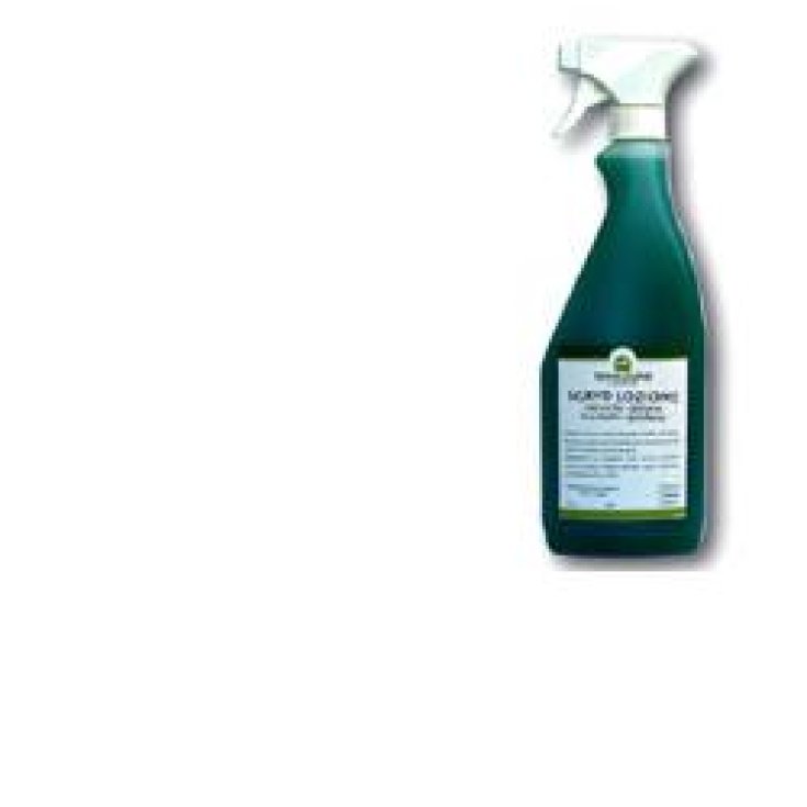 Sgryd Loz Insettifuga 750ml
