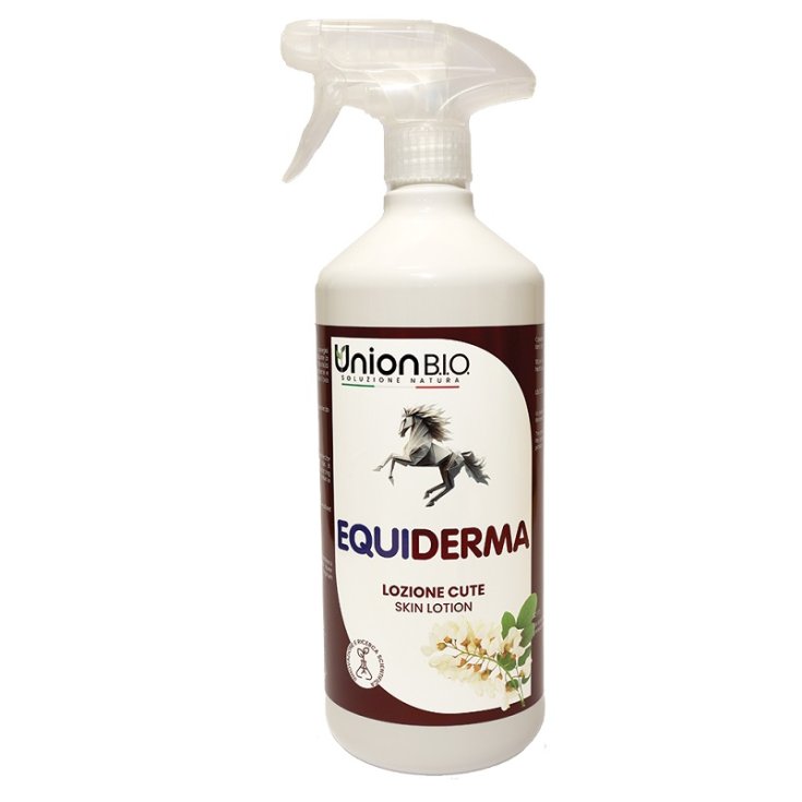 EQUIDERMA LOZ RIGEN CUTE 1L