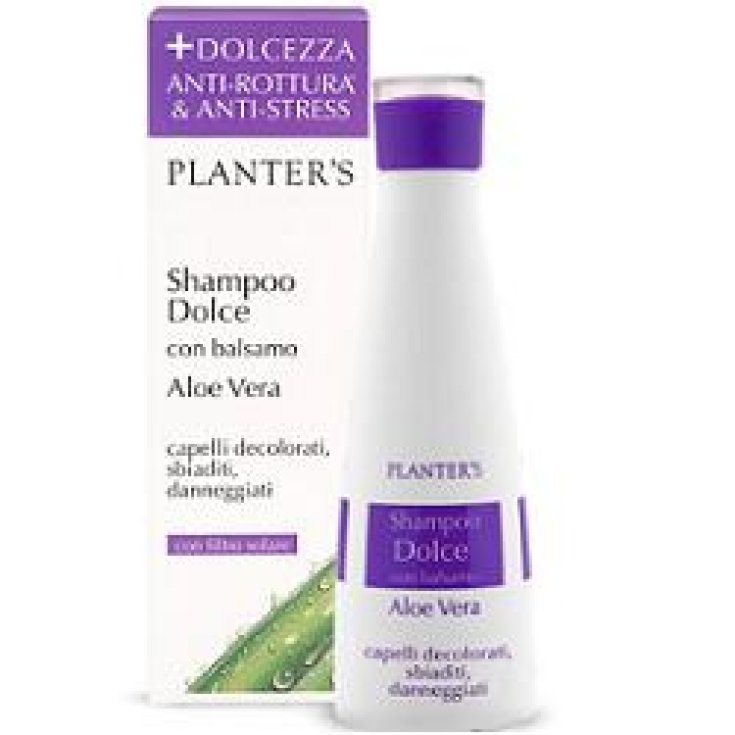 Planters Sh Dolce Aloe Vera