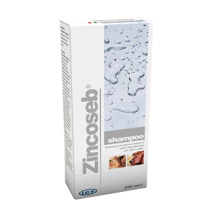 Zincoseb Shampoo - 250ML