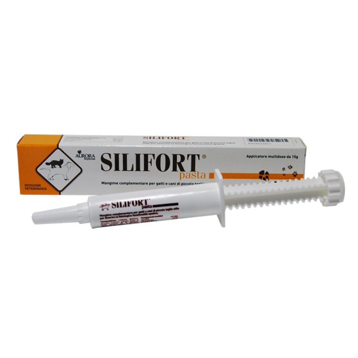 Silifort - 30GR