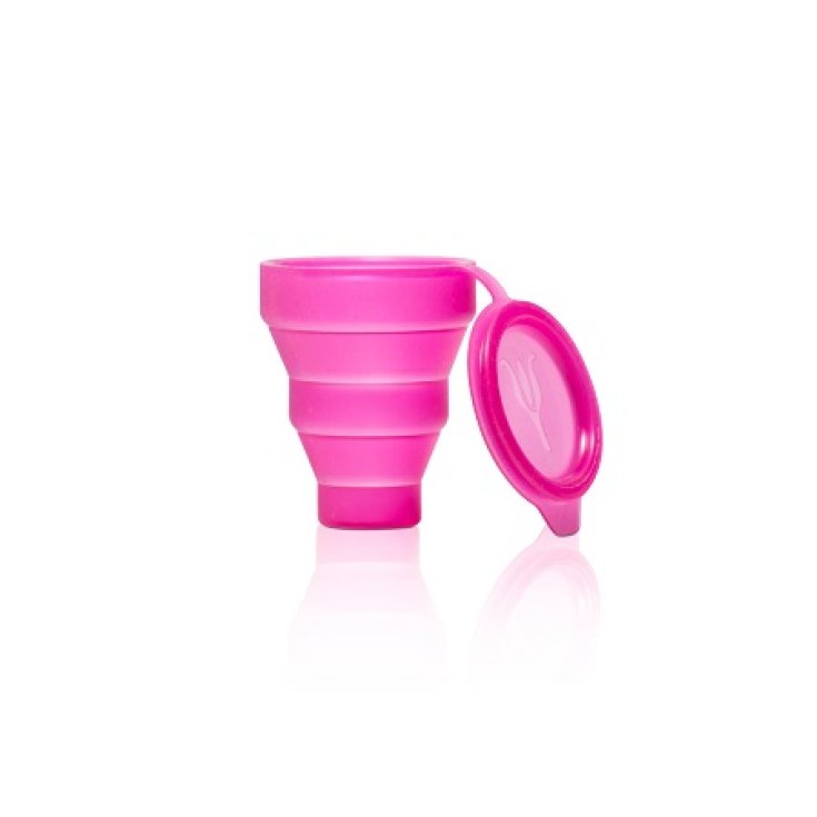 LYBERA CUP CASE