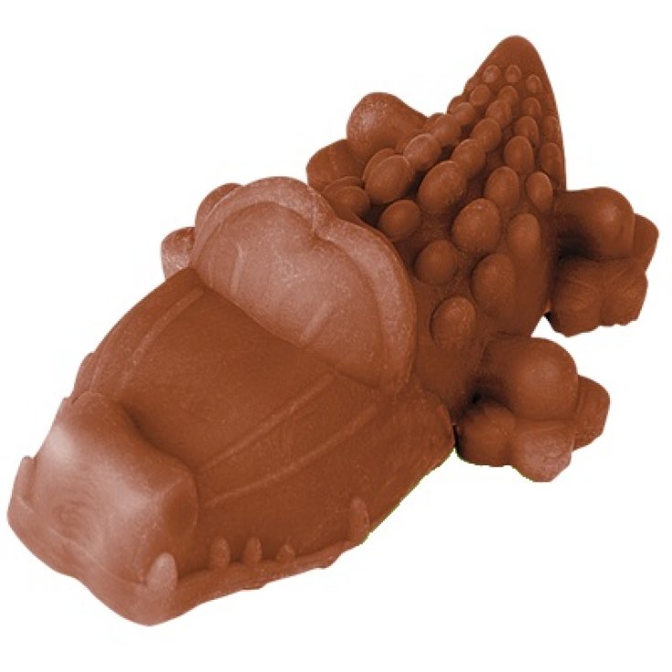 Alligatore Naturale - M | Peso 12-18 Kg