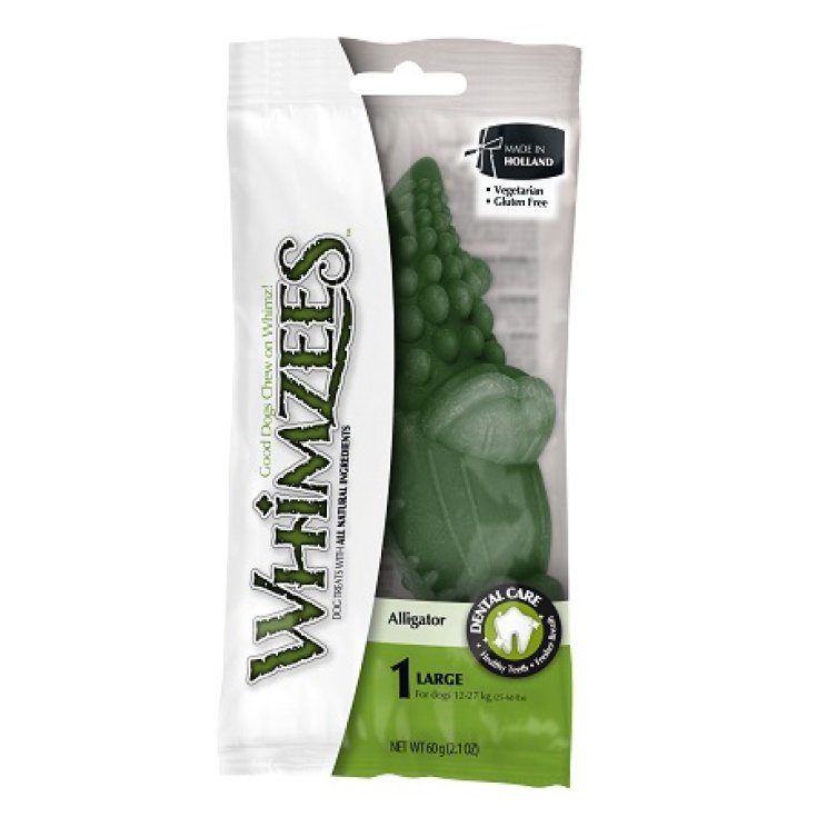 Alligatore Naturale - L | Peso 18-27 Kg