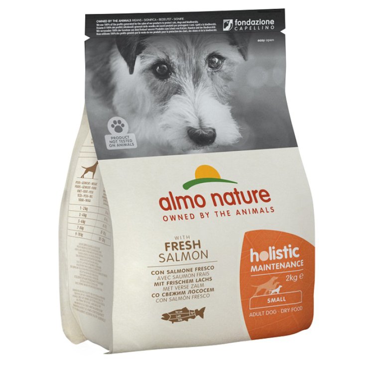 Holistic Fresh Small Salmone e Riso - 2KG