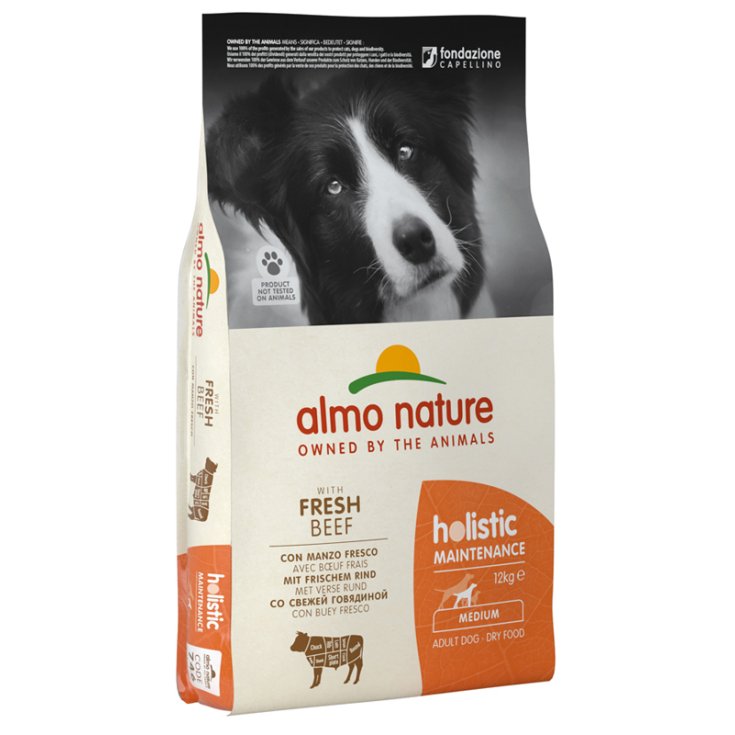 Holistic Fresh Medium Manzo e Riso - 12KG
