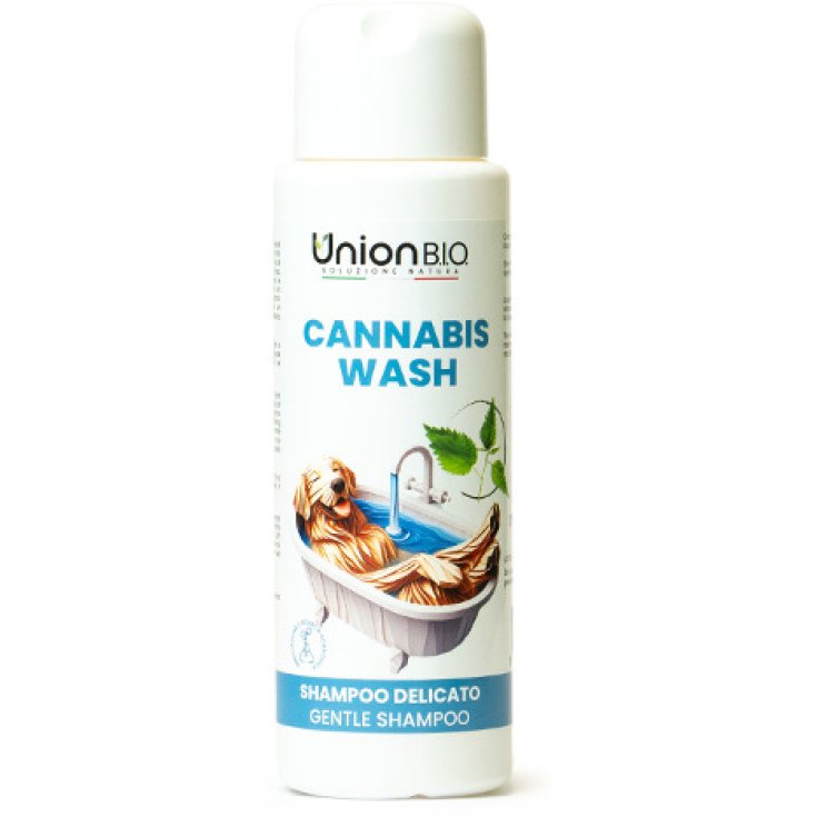 CANNABIS WASH 250ML