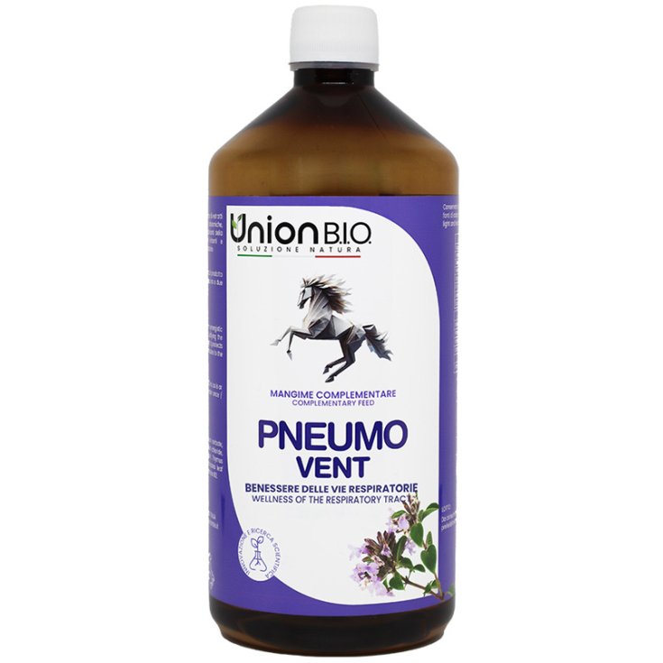 PNEUMO VENT 1L