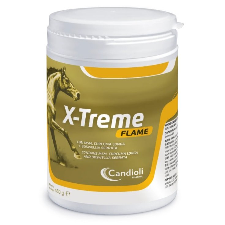 X-TREME FLAME 450G